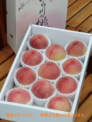 白鳳（7月上中旬頃～） | 八旗農園通販サイト